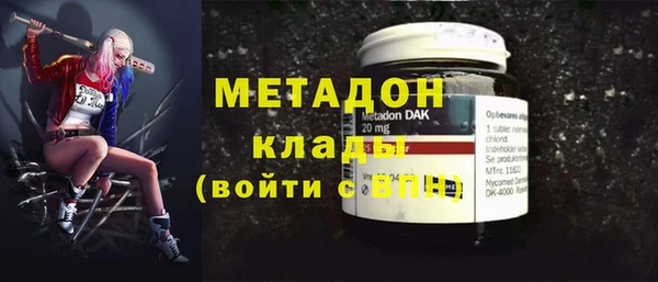 прущие грибы Новодвинск