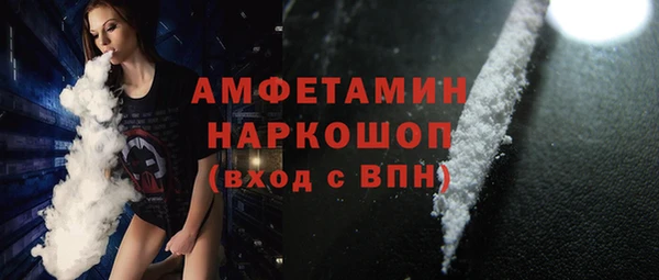 прущие грибы Новодвинск