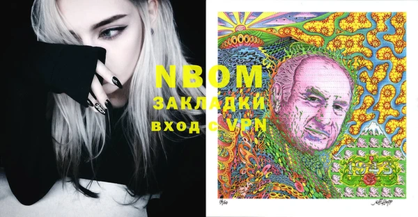 прущие грибы Новодвинск