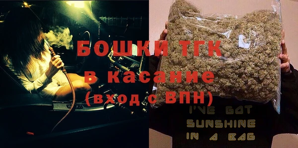 прущие грибы Новодвинск