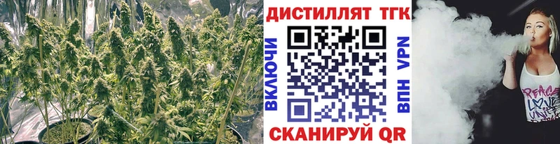 ТГК вейп с тгк дарк нет наркотические препараты Мензелинск