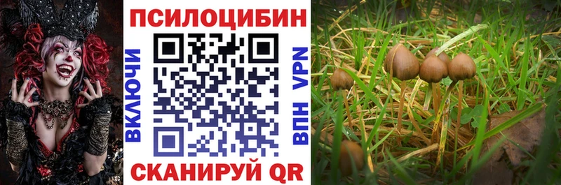 купить наркотик  Мензелинск  Галлюциногенные грибы мухоморы 